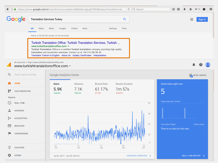 Turkish Translation-Analytics